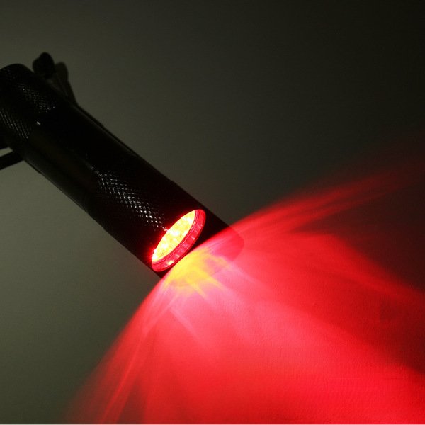 WhatsApp Image 2025-07-15 at 11.34.13 AM